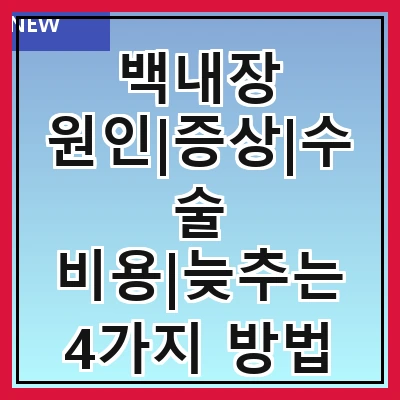 백내장 원인|증상|수술 비용|늦추는 4가지 방법